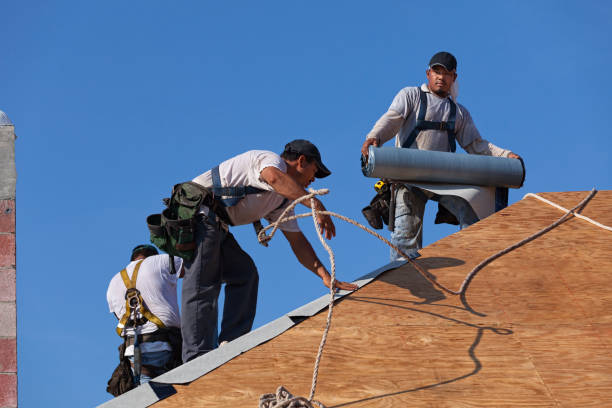 Best Commercial Roofing Services  in Canby, MN