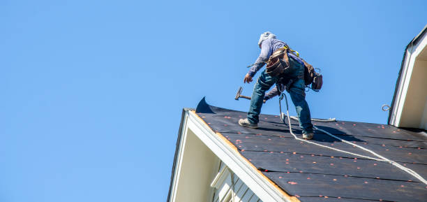 Best Storm Damage Roof Repair  in Canby, MN